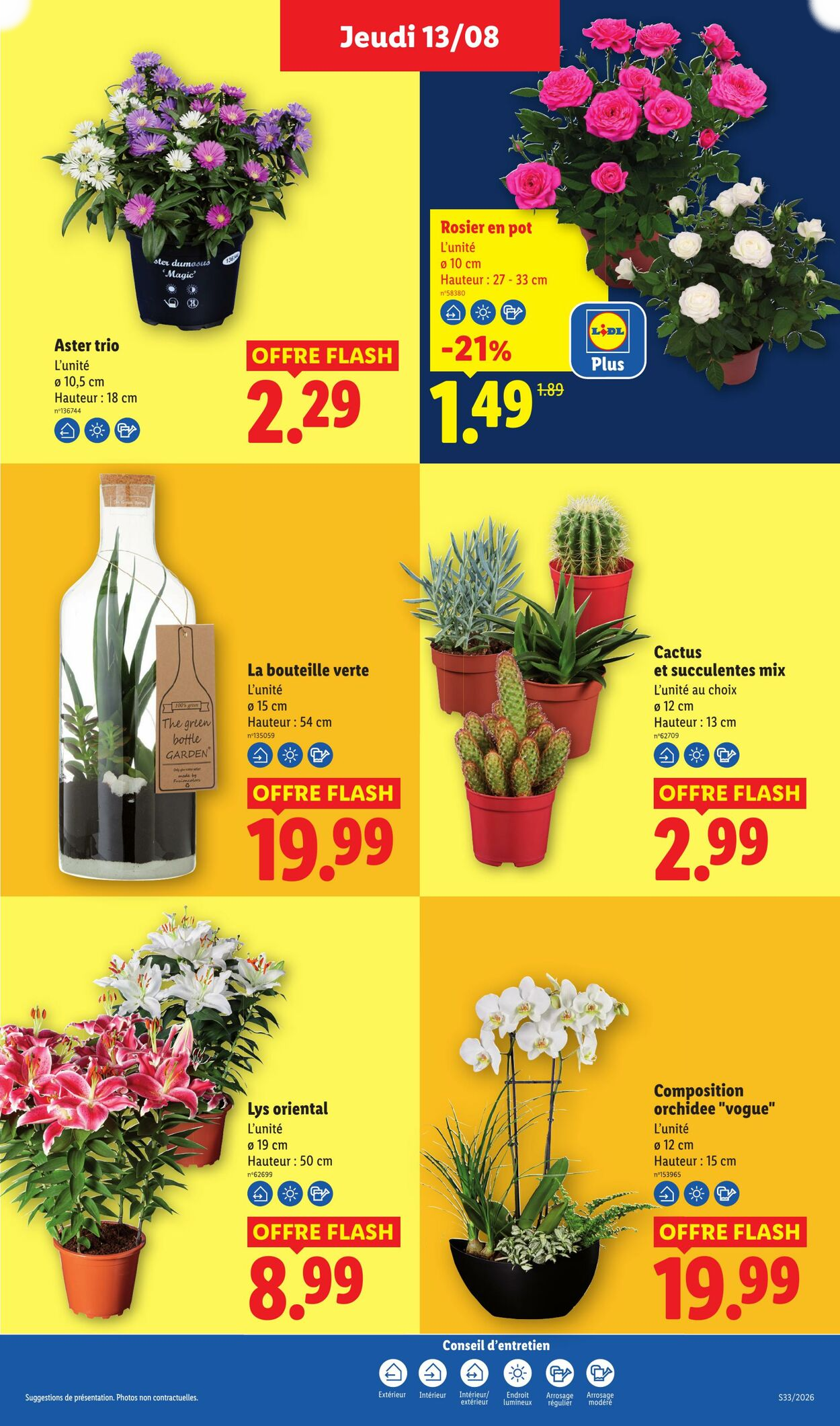 Lidl - Page 29