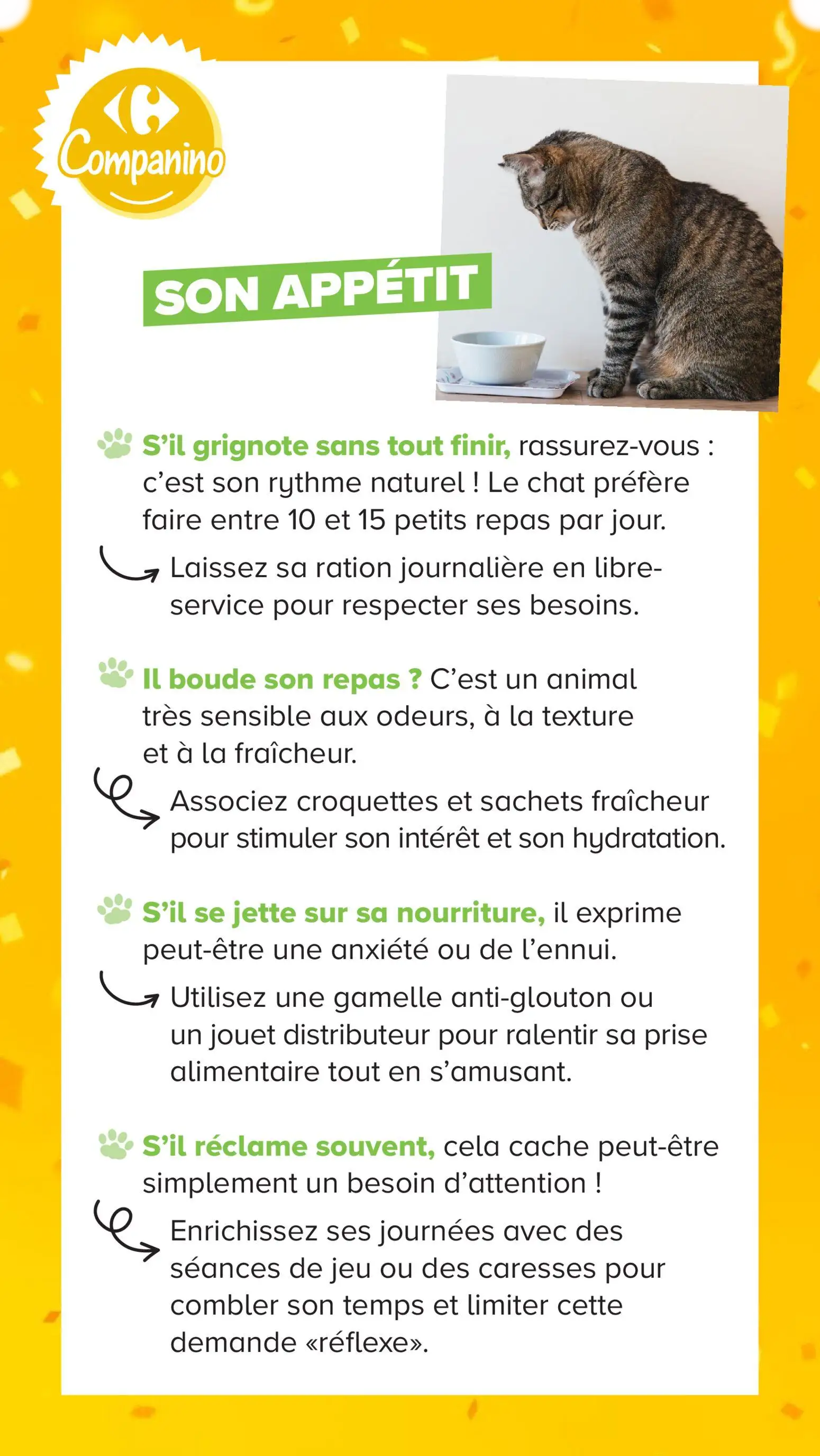 Catalog page 16 image 