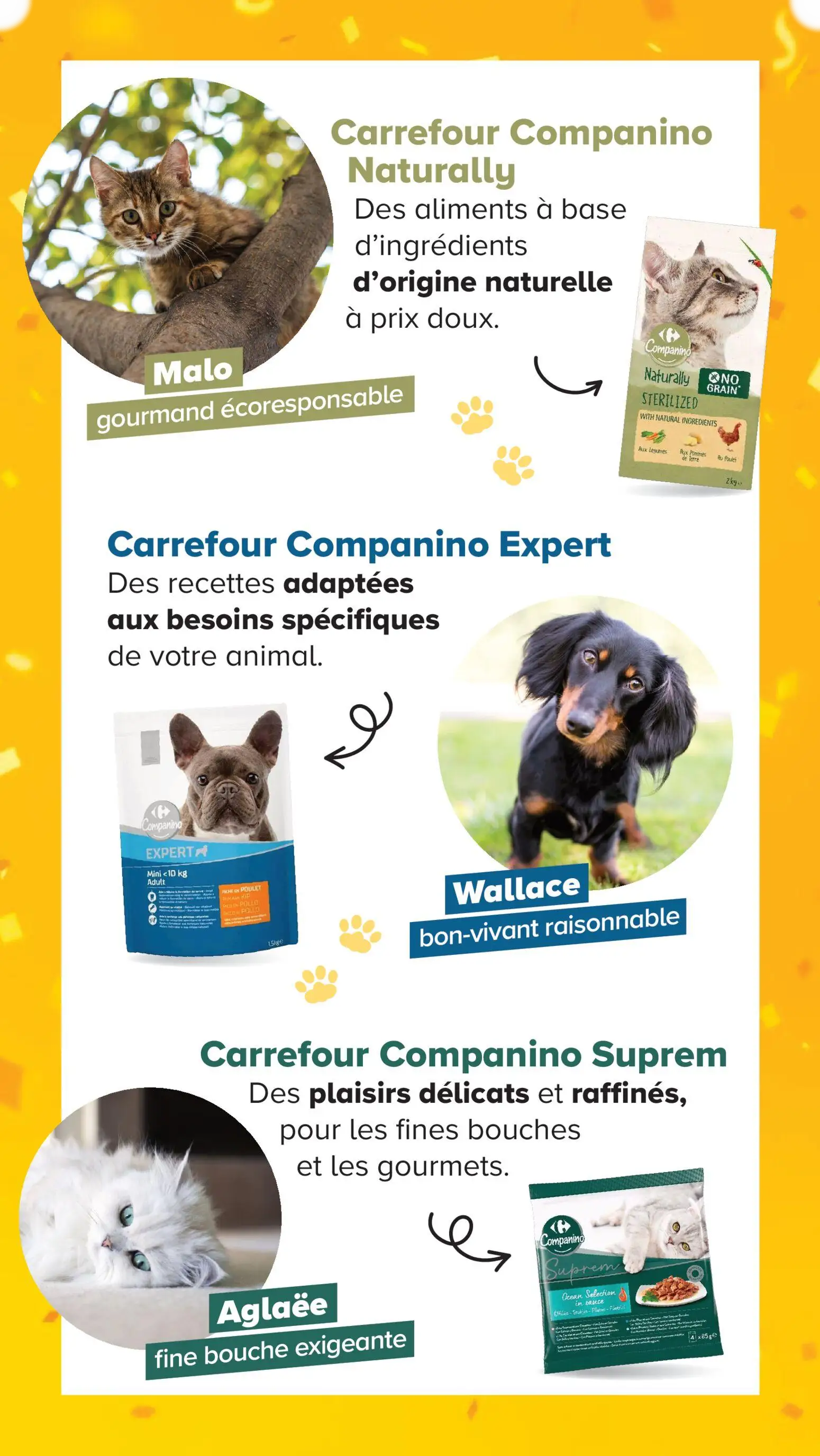  Catalog page 9 image 
