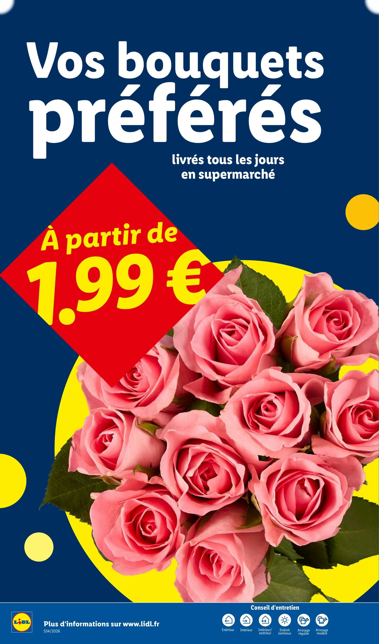 Lidl - Page 34