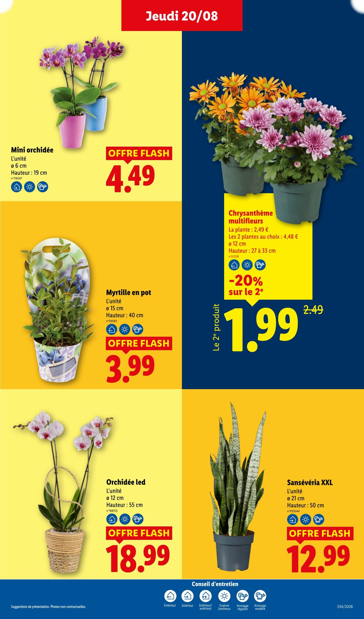 Lidl - Page 29