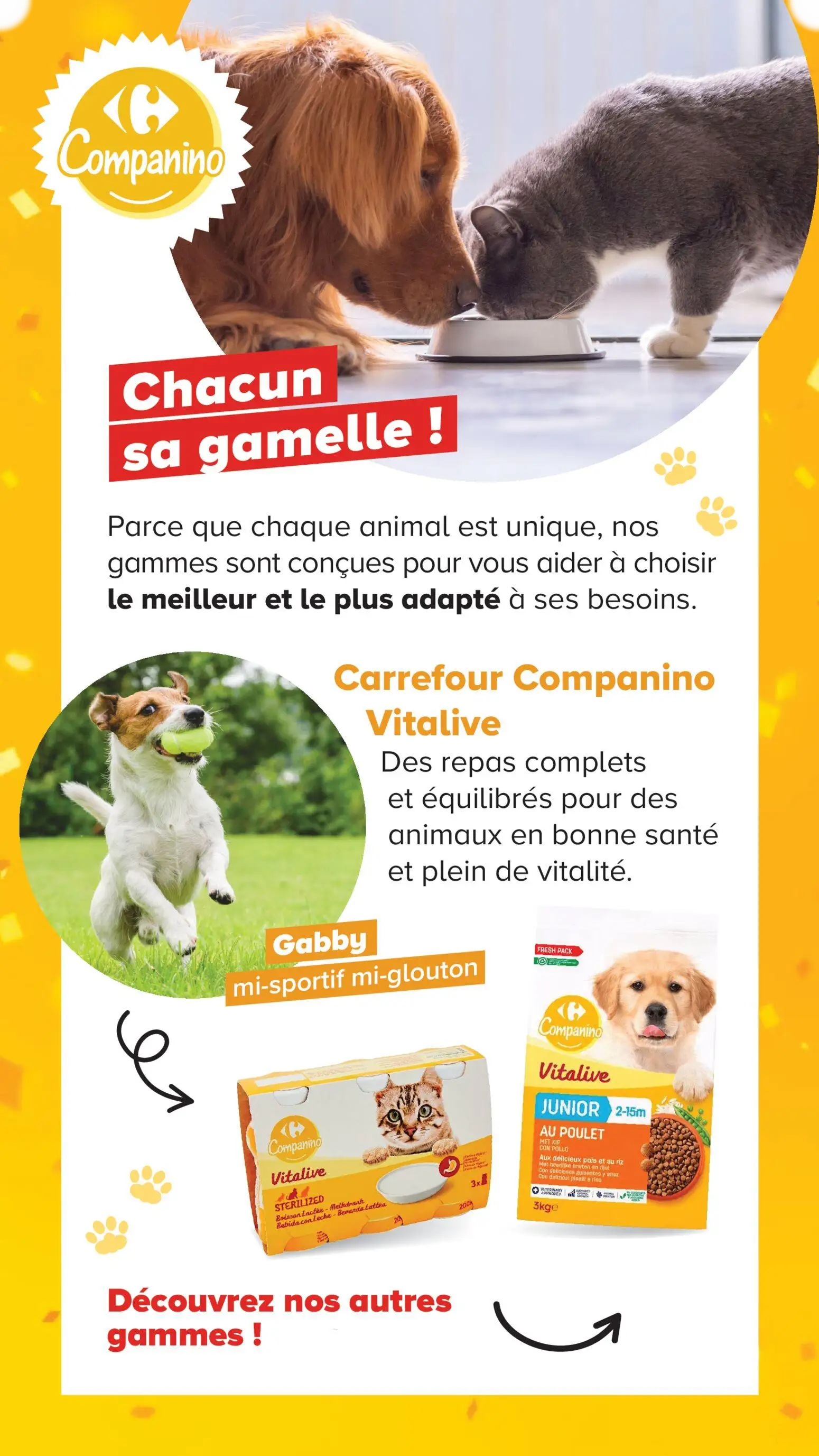  Catalog page 8 image 