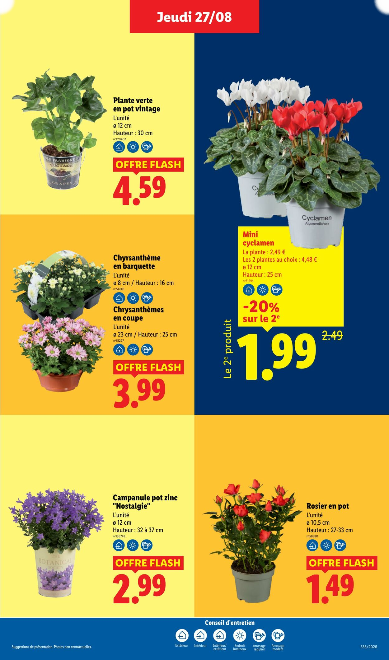 Lidl - Page 29