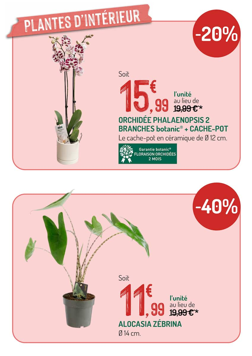  Catalog page 11 image 