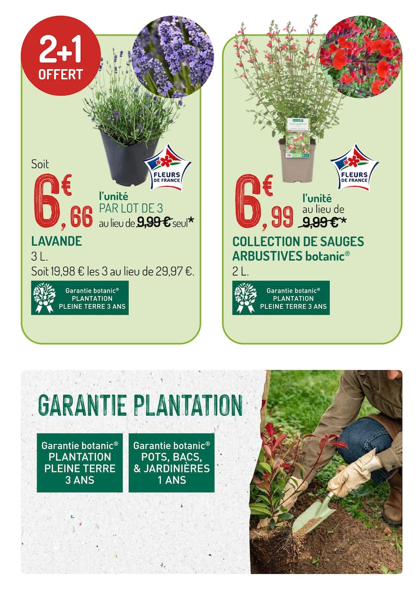  Catalog page 9 image 
