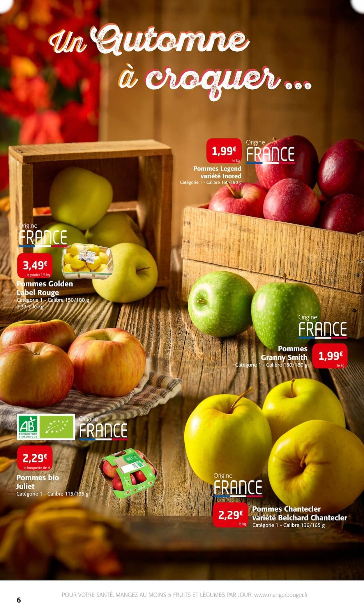  Catalog page 6 image 