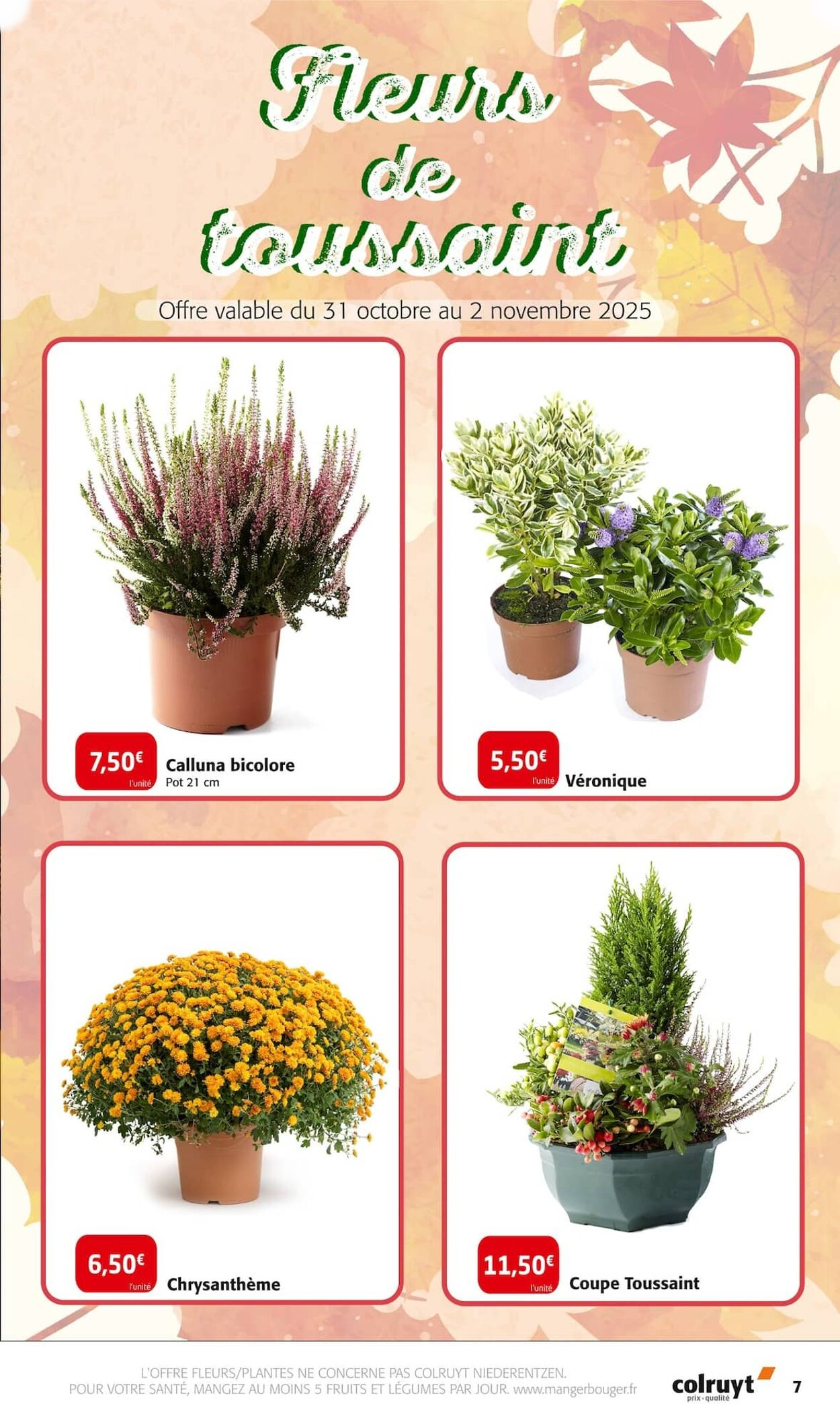  Catalog page 7 image 