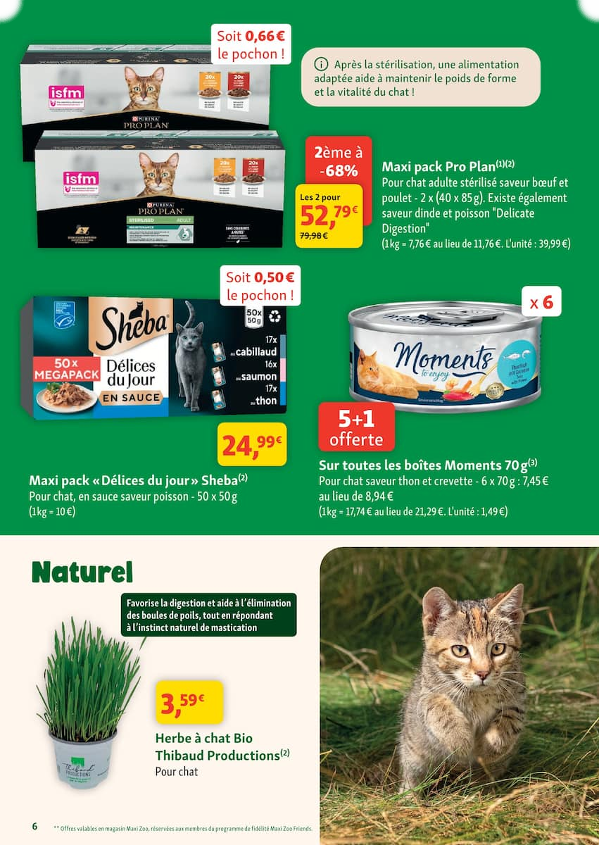 maxi zoo - Page 6