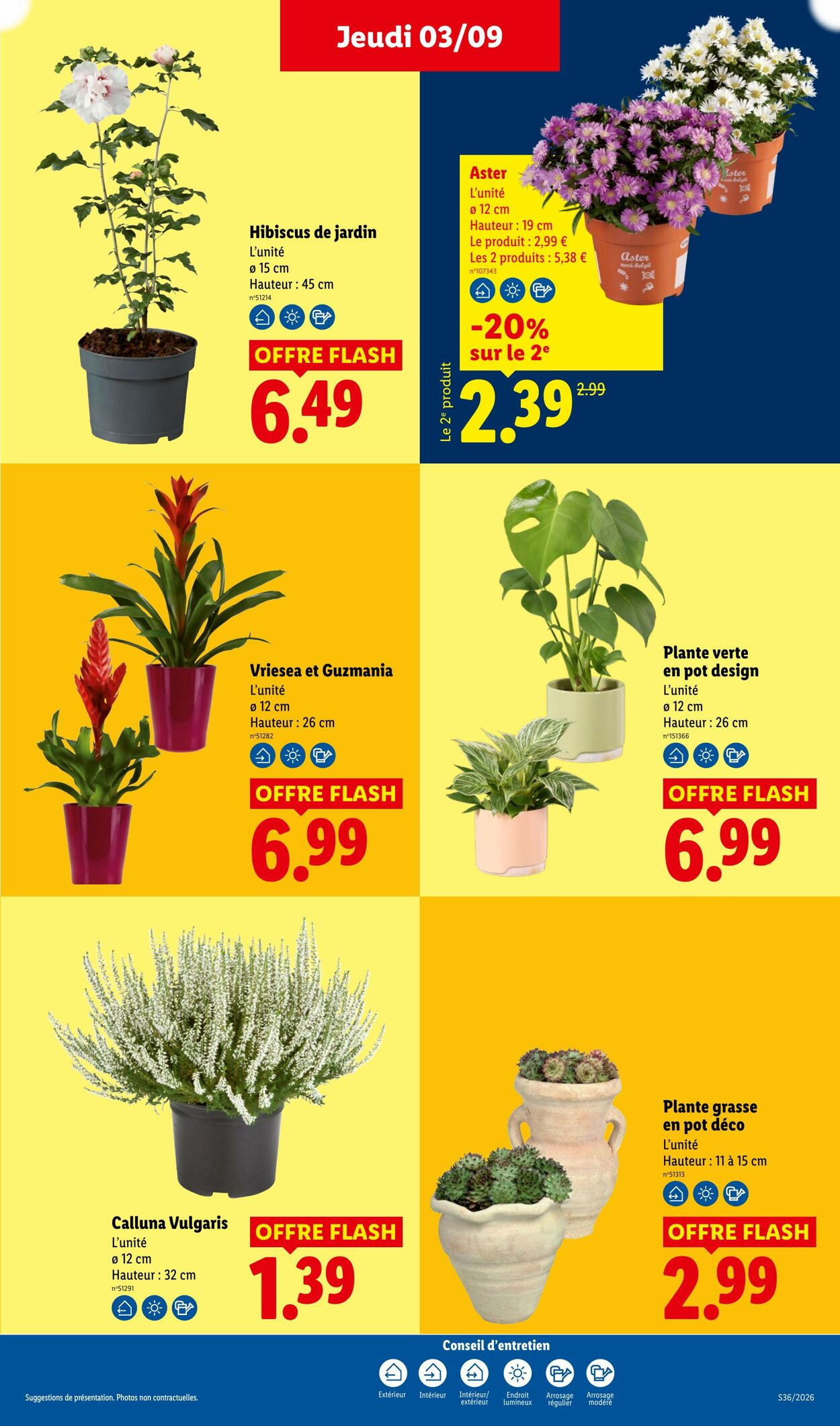 Lidl - Page 35