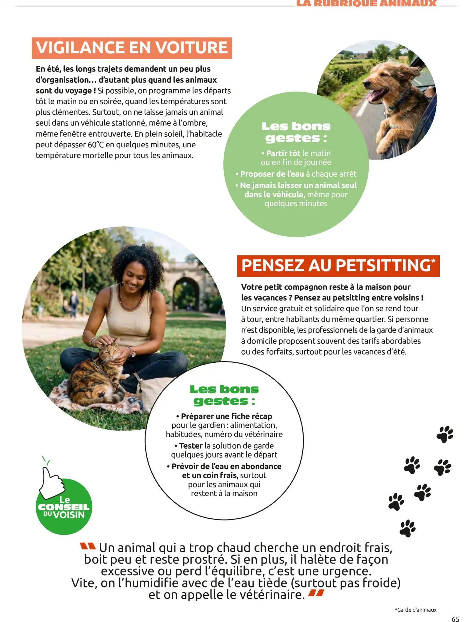  Catalog page 65 image 