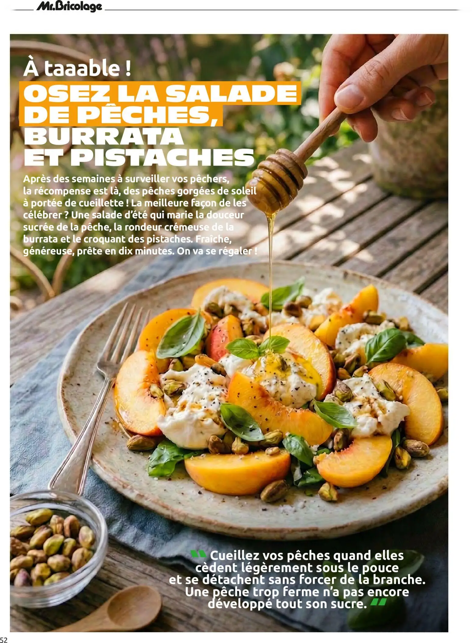  Catalog page 52 image 