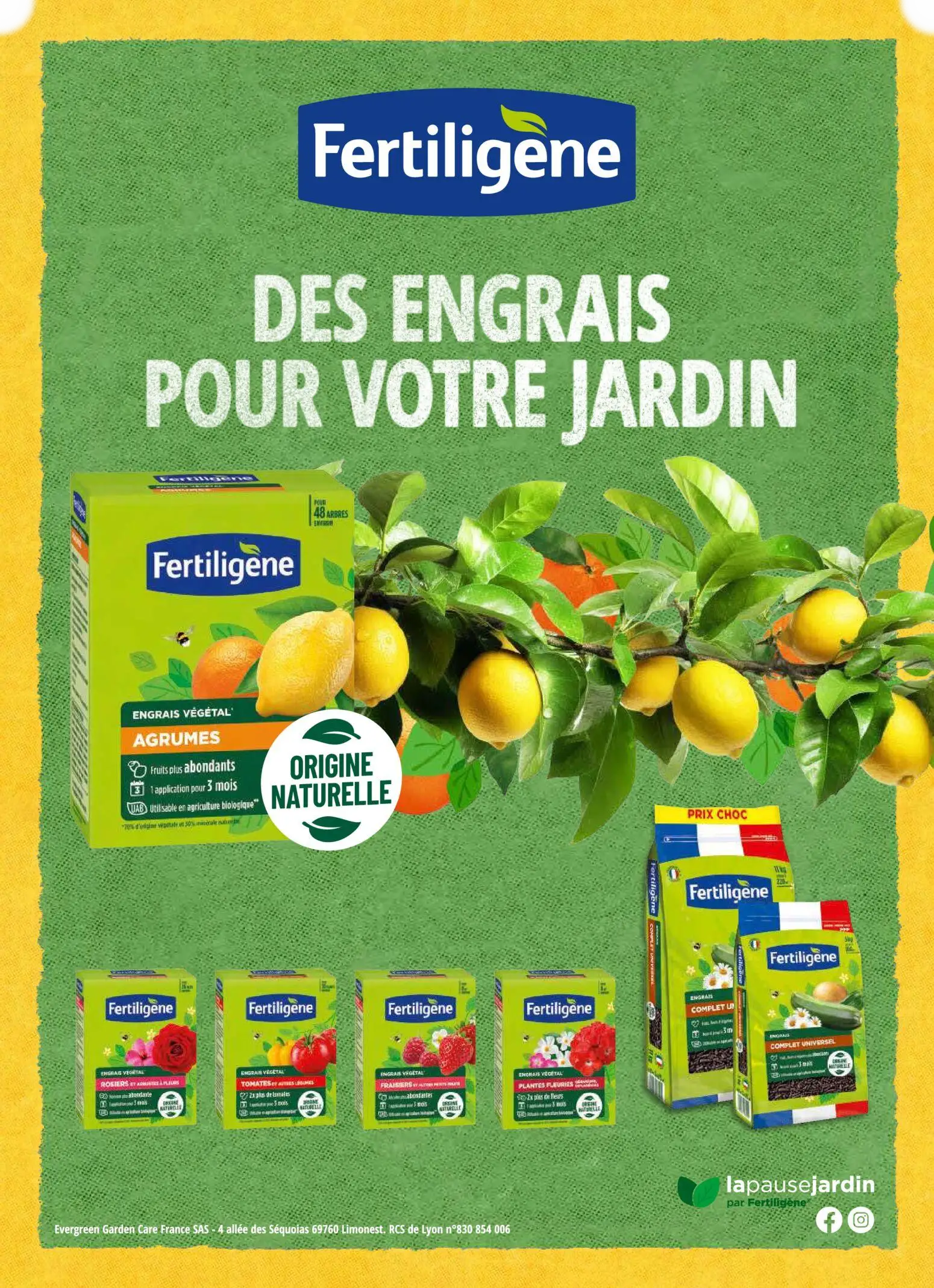  Catalog page 11 image 