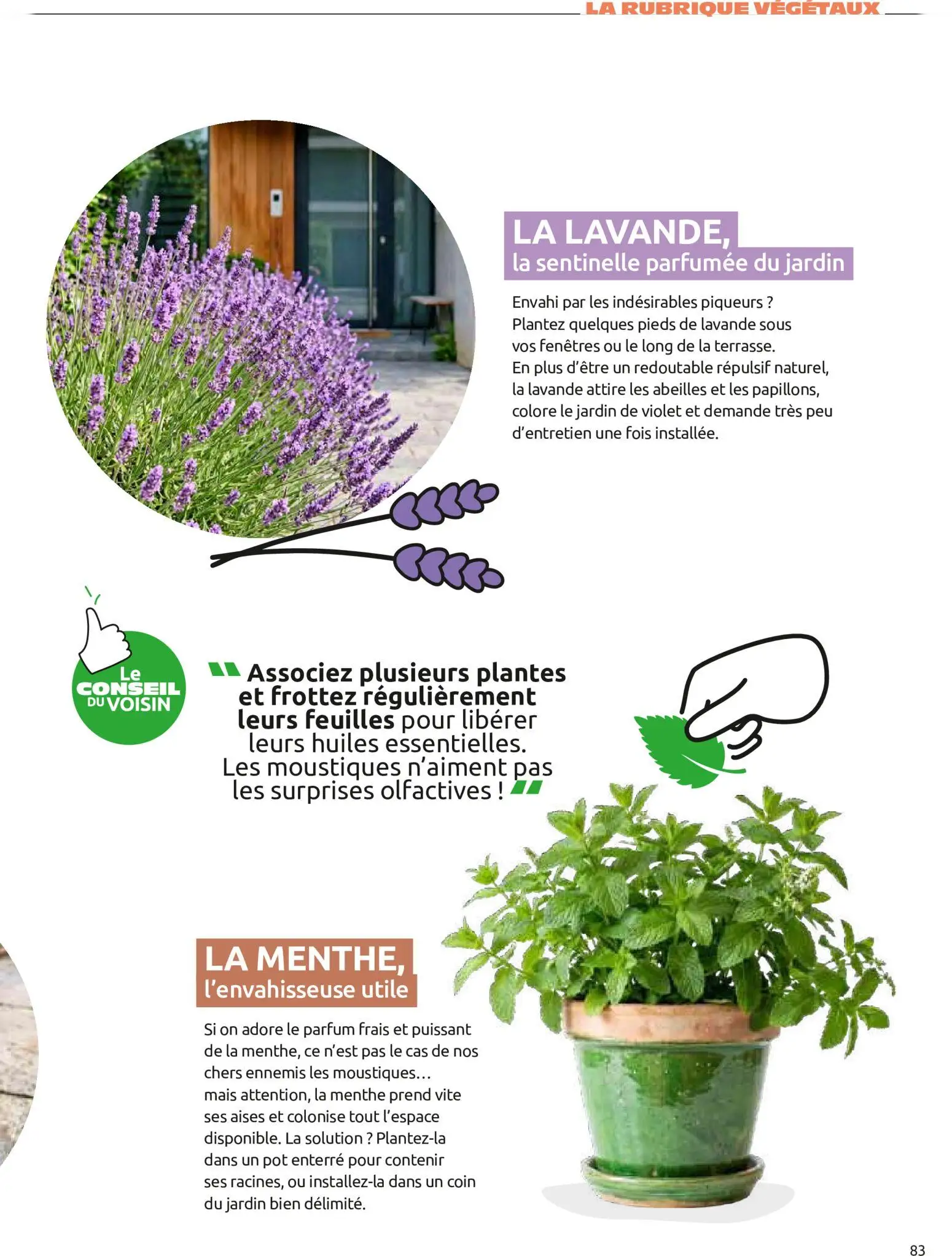  Catalog page 83 image 
