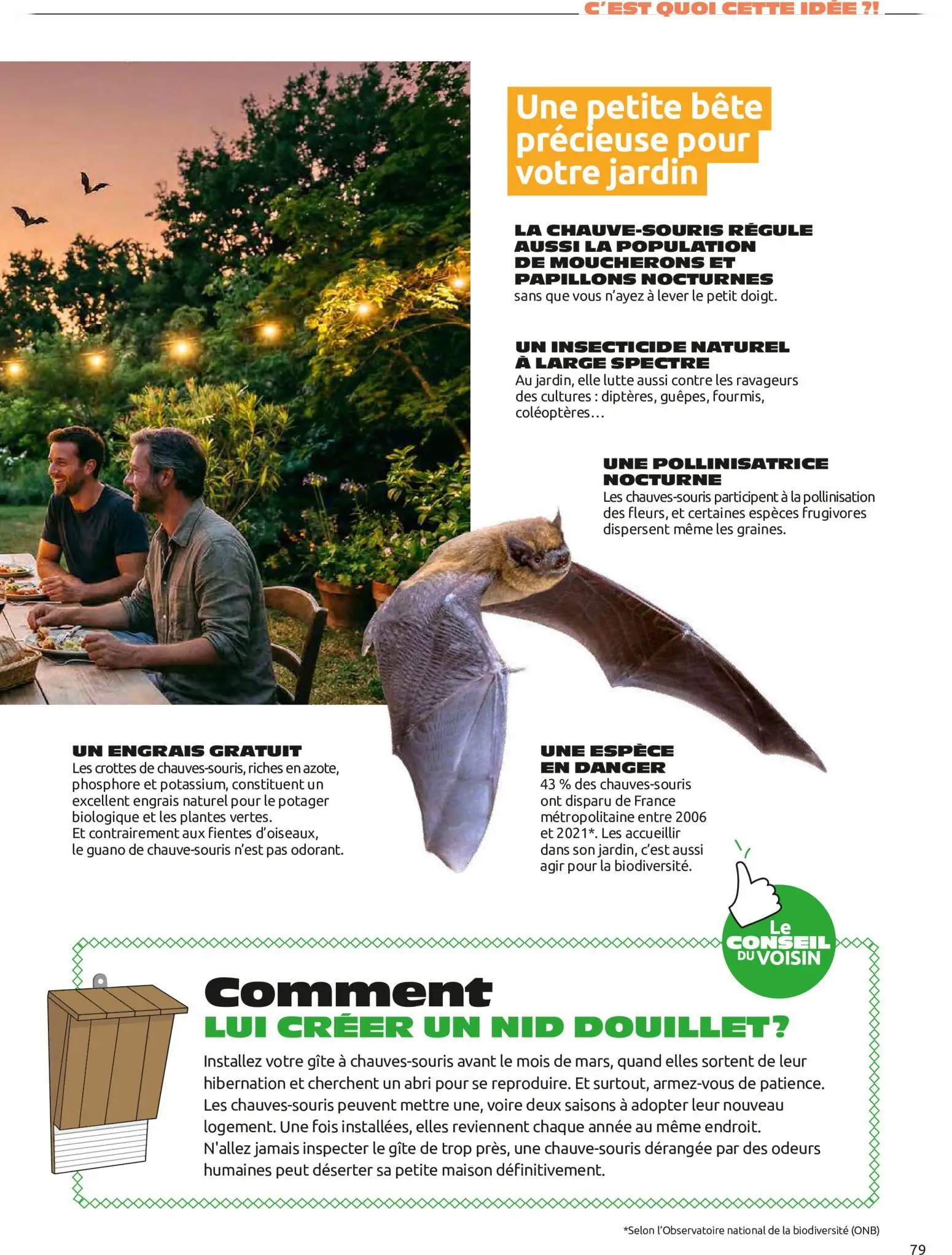  Catalog page 79 image 