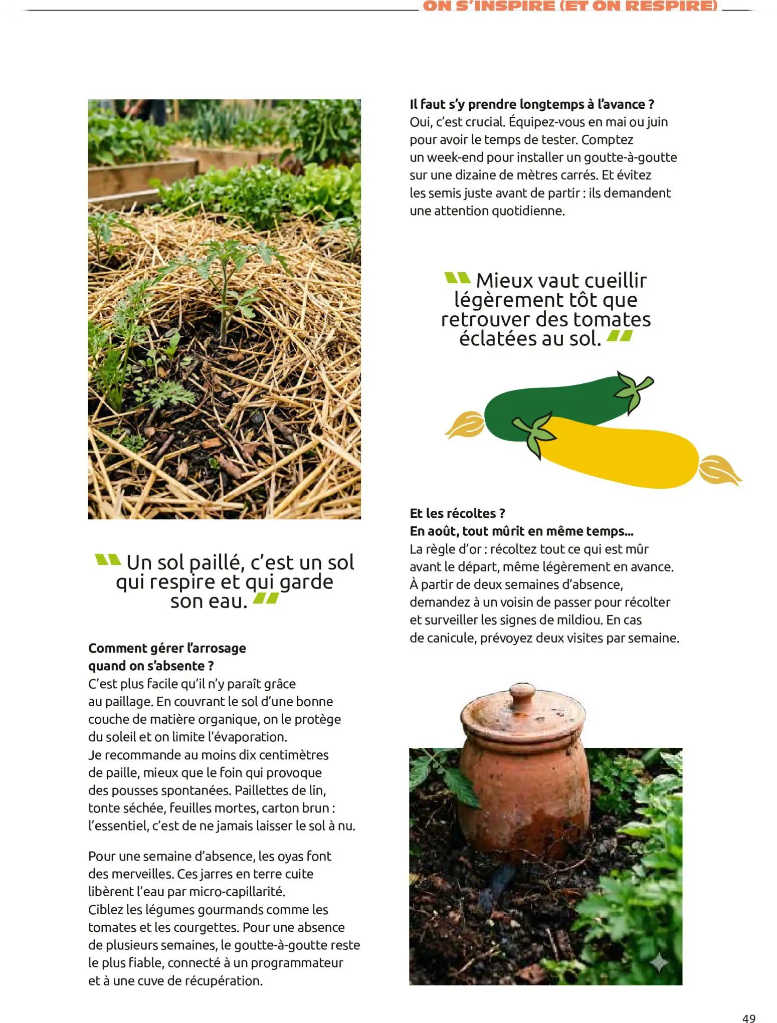  Catalog page 49 image 