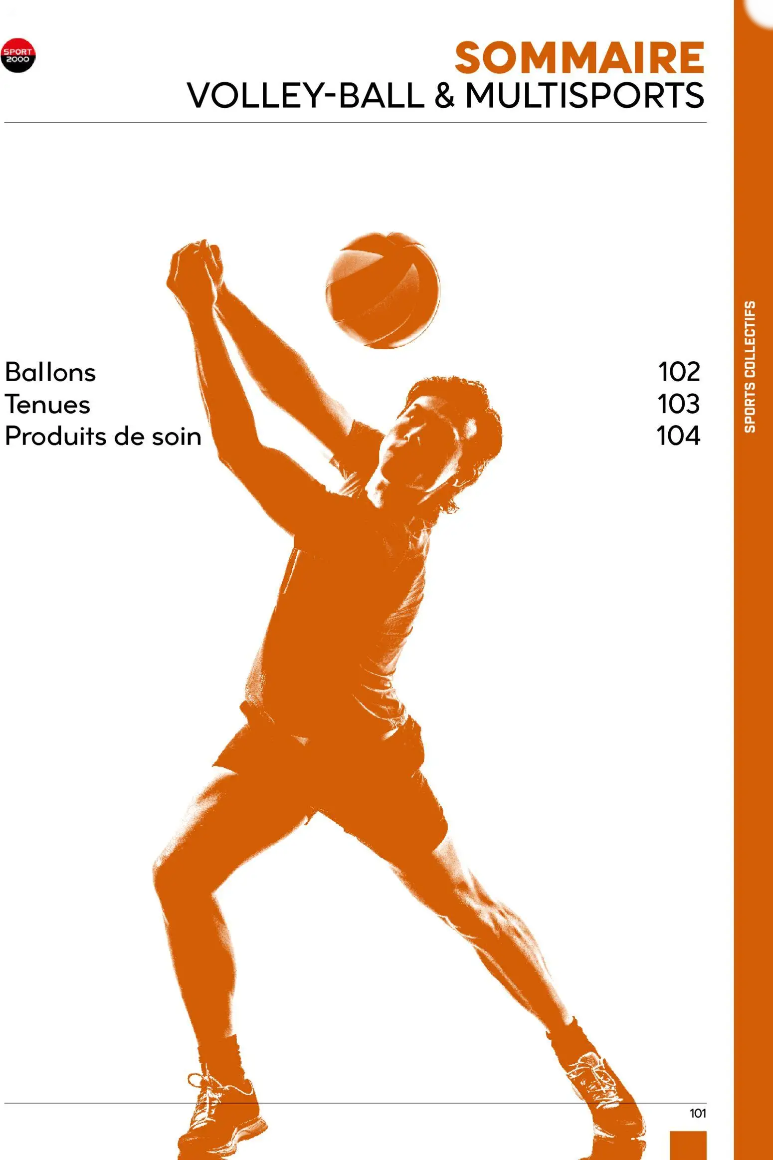  Catalog page 101 image 
