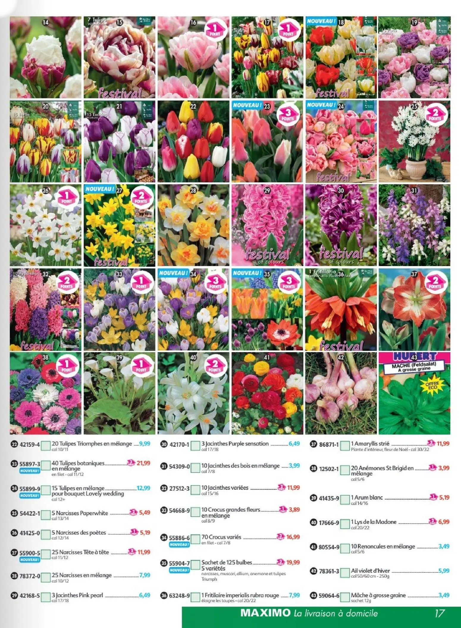  Catalog page 17 image 