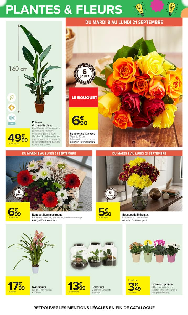 LE MOIS MONOPOLY - Page 61