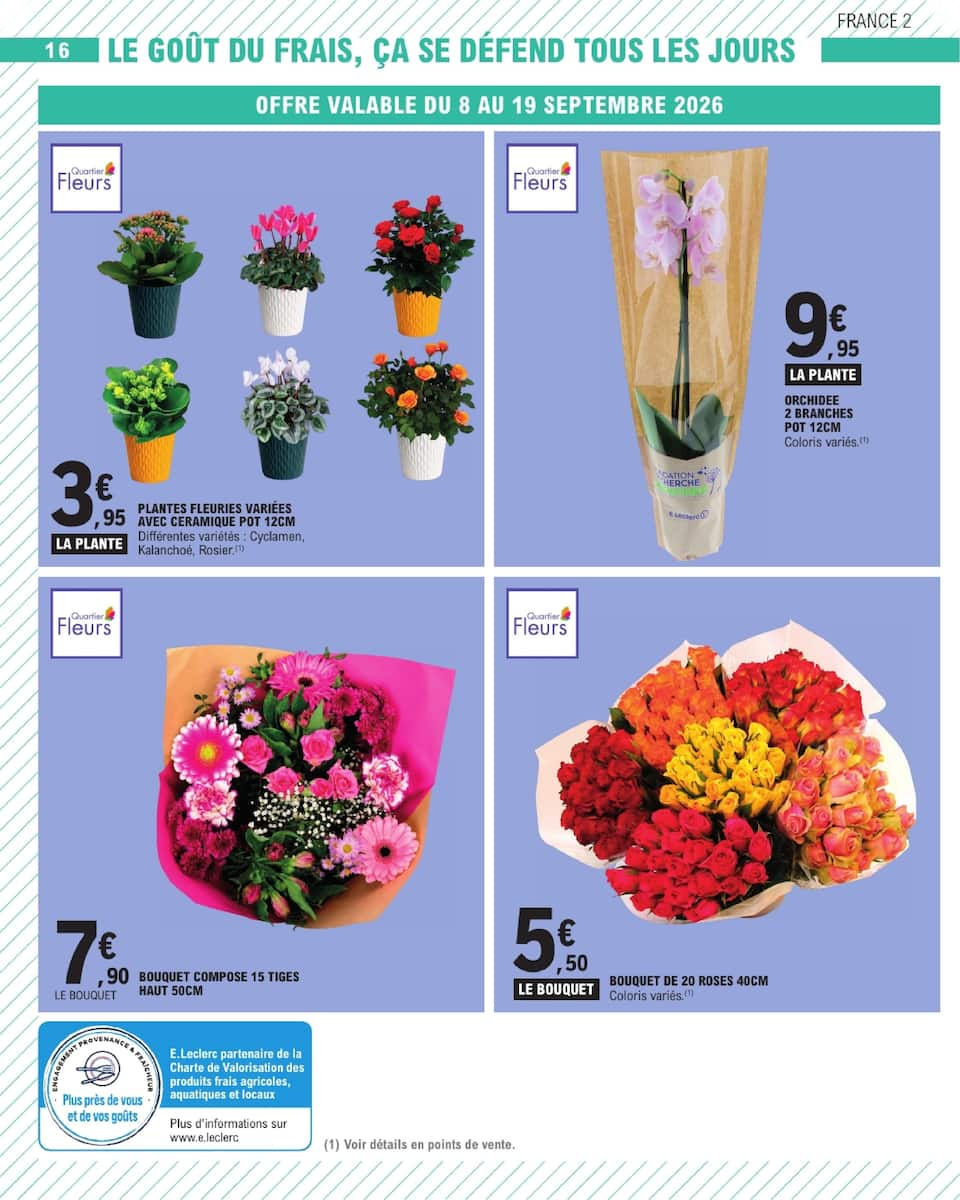 LES PLEINS POUVOIRS D'ACHAT - Page 16