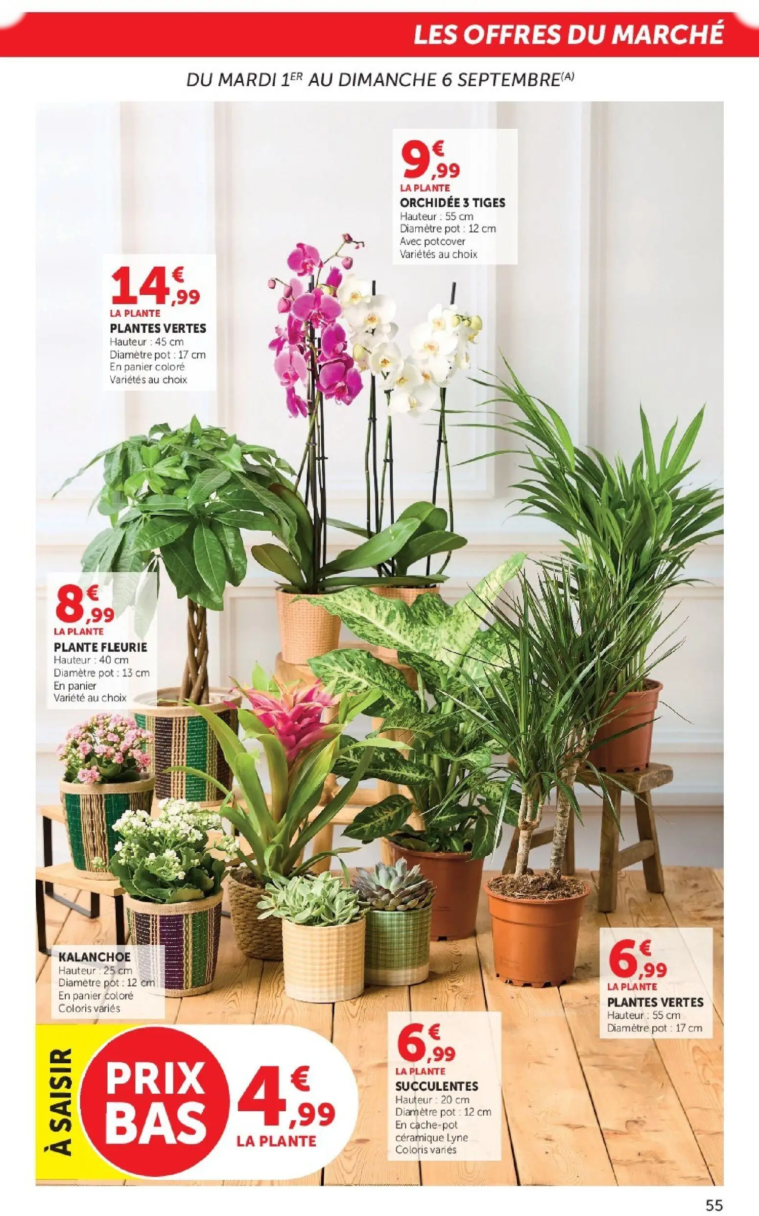  Catalog page 55 image 