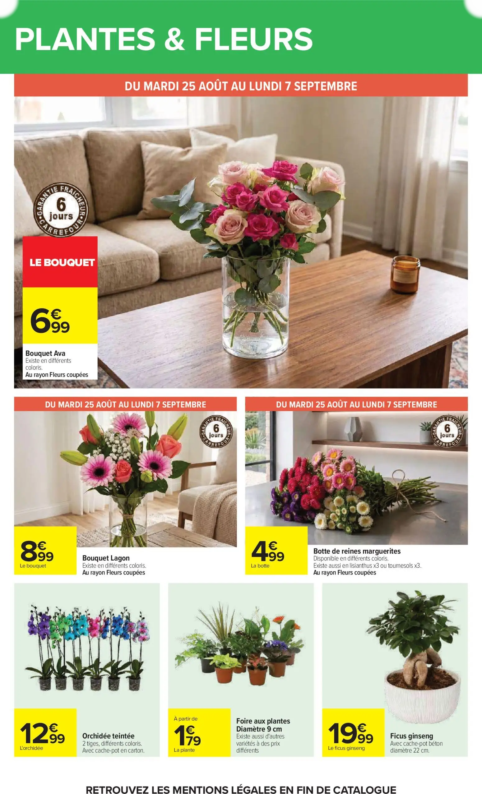  Catalog page 66 image 