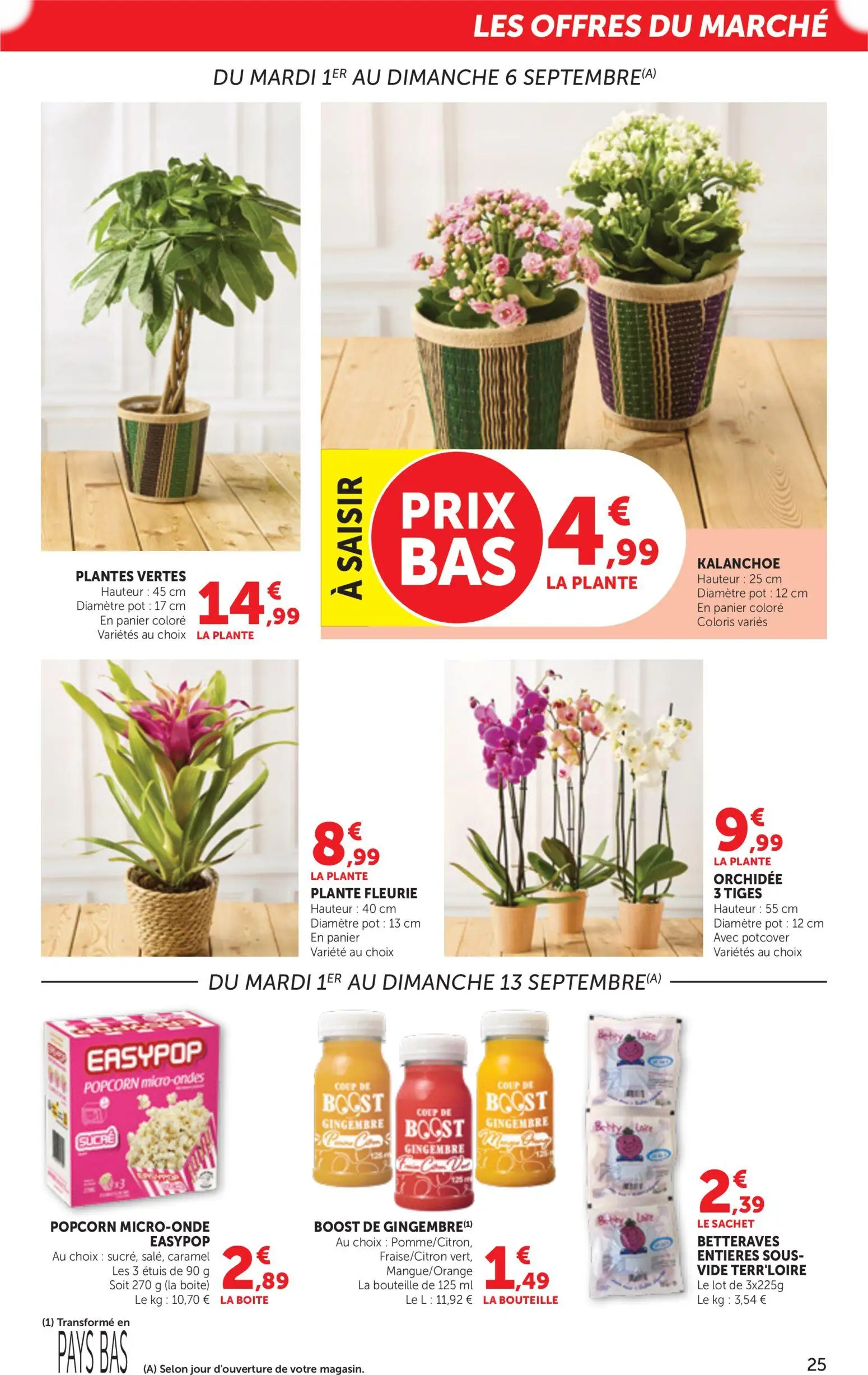  Catalog page 25 image 