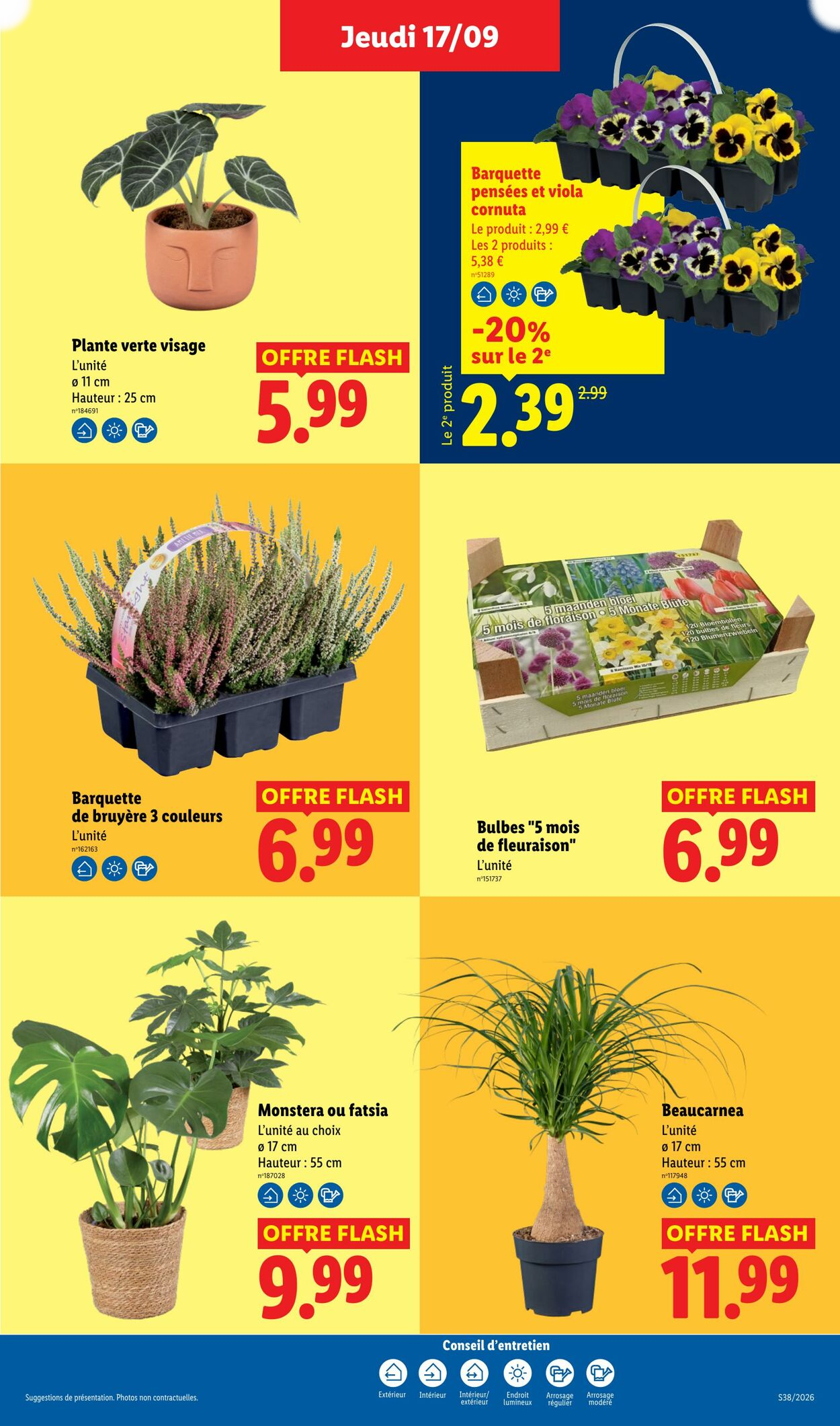 Lidl - Page 29