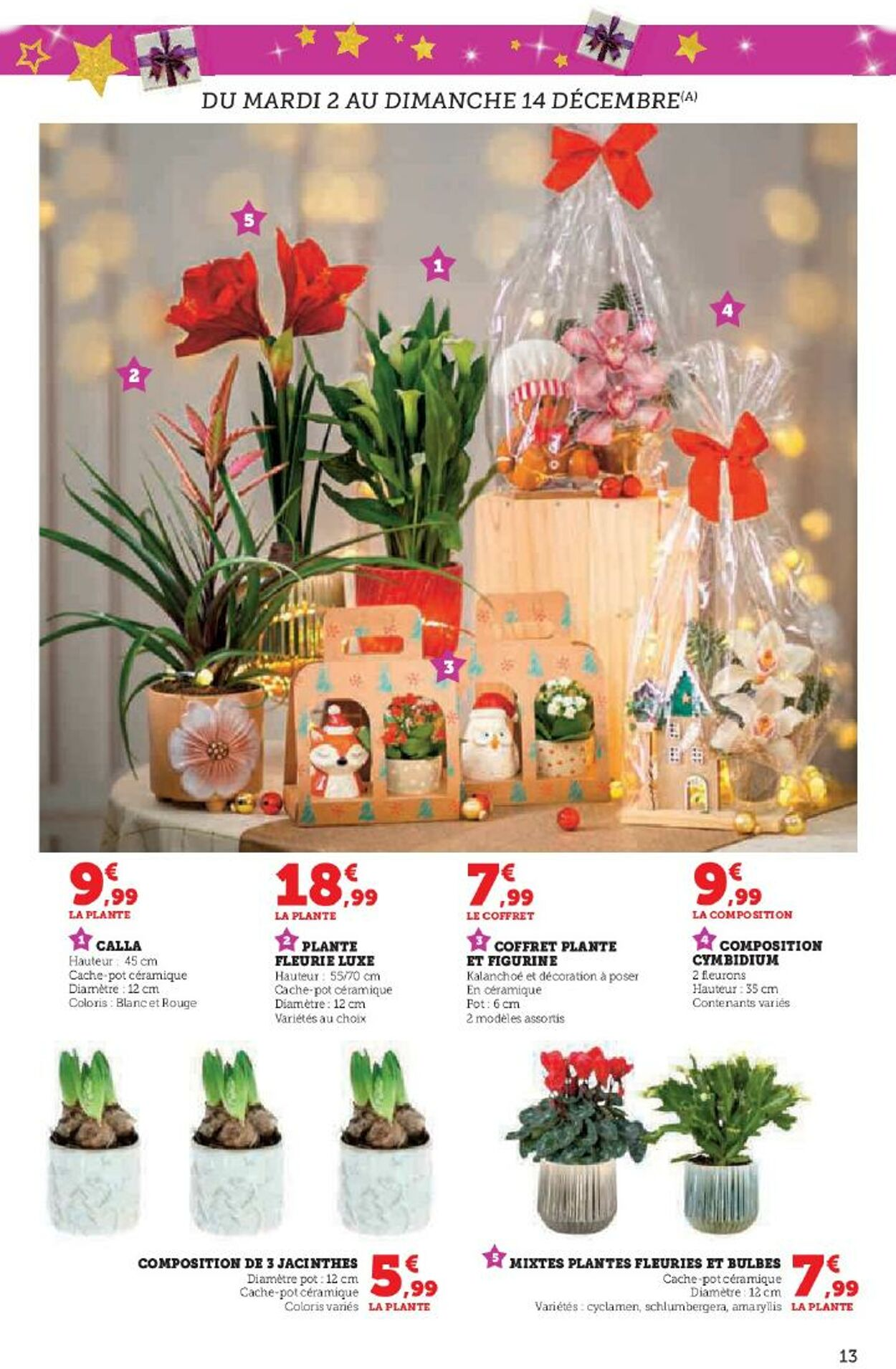  Catalog page 13 image 