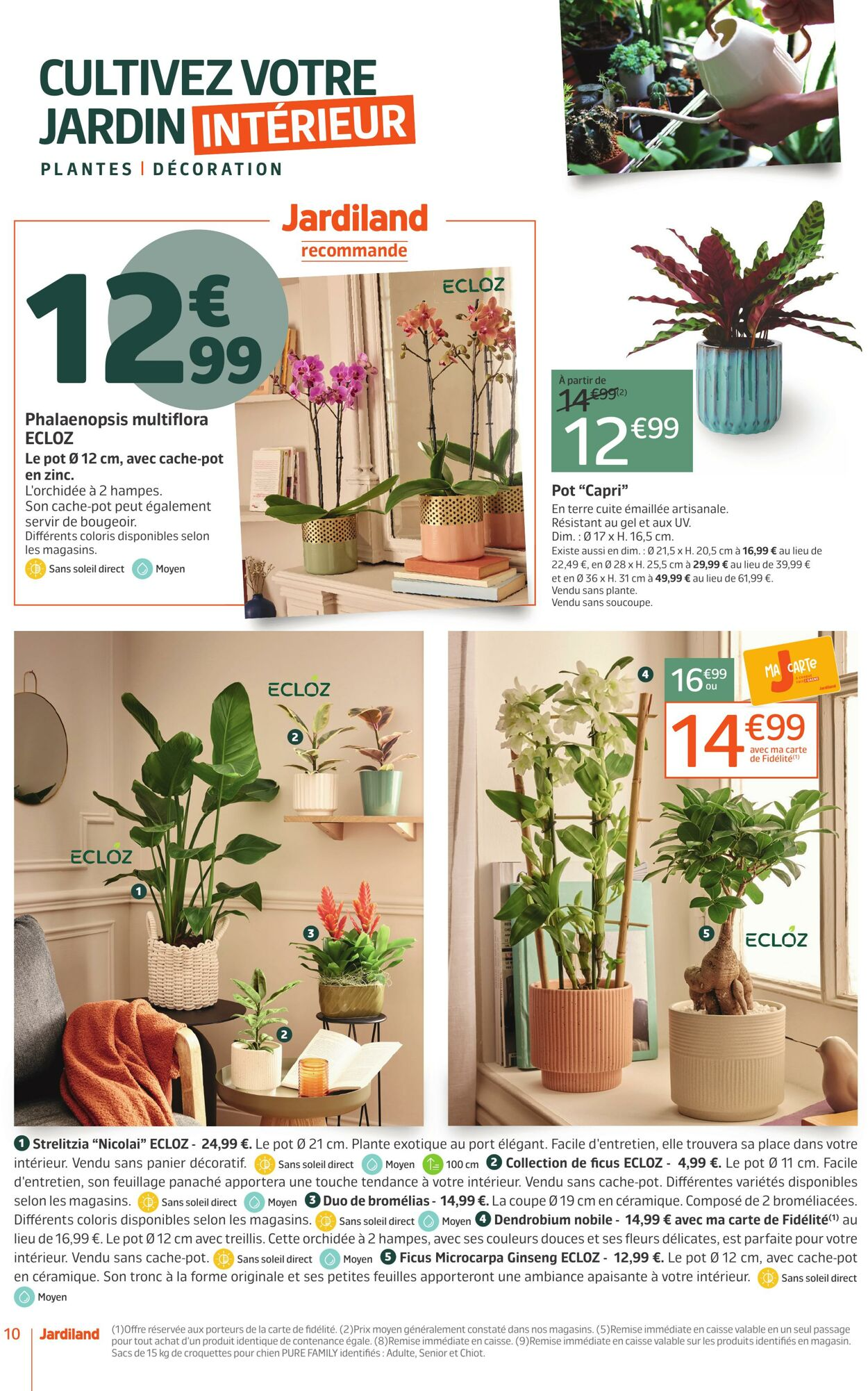  Catalog page 10 image 