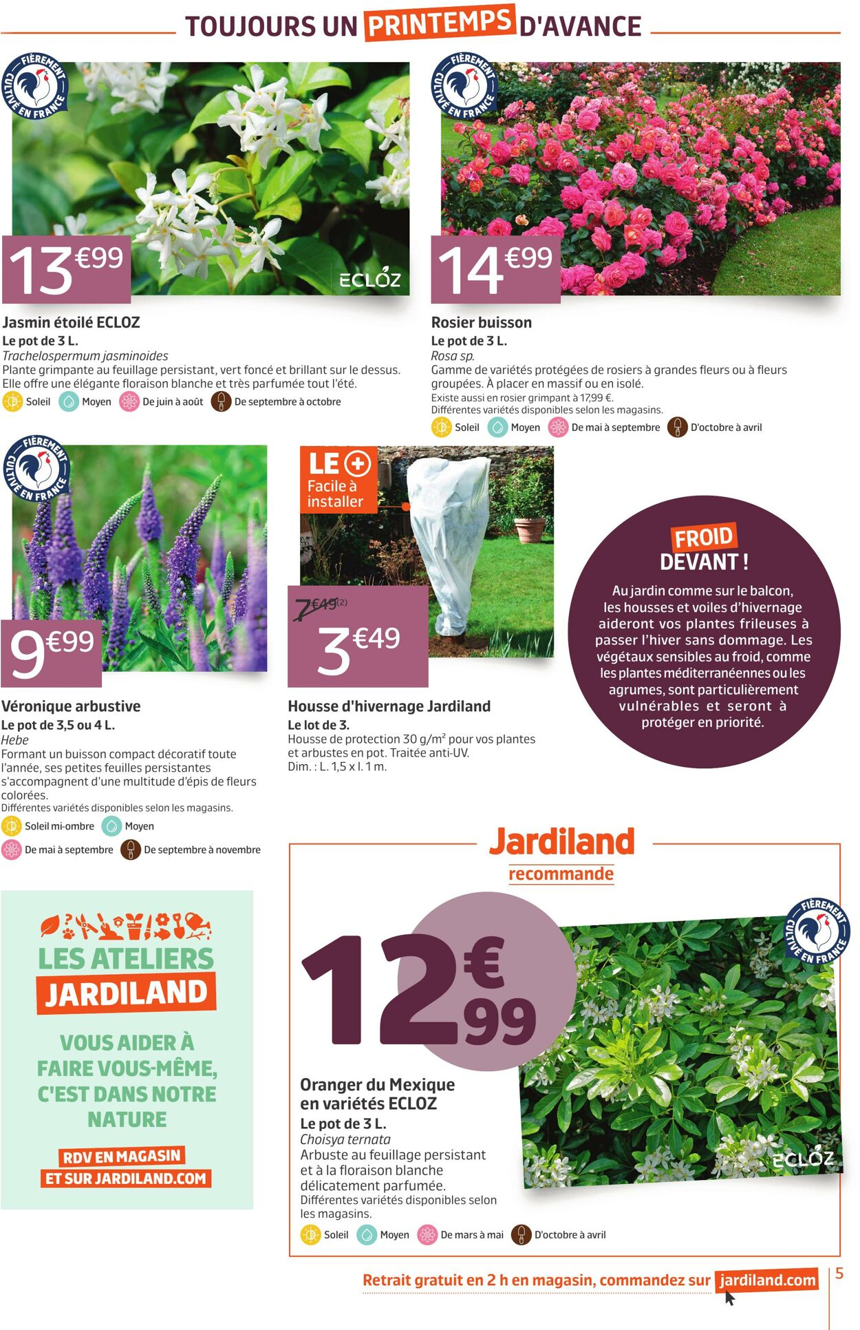  Catalog page 5 image 