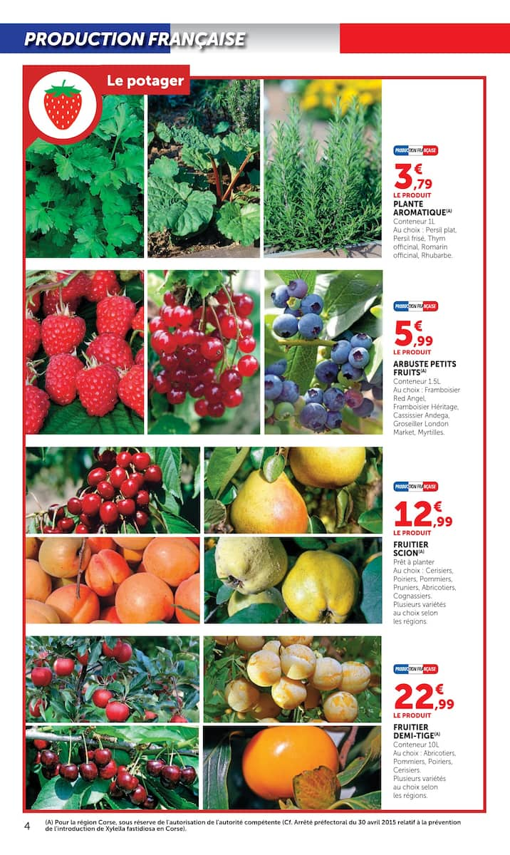  Catalog page 4 image 