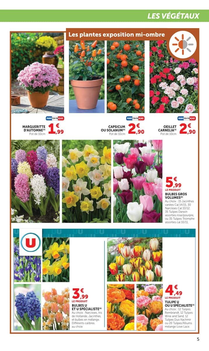  Catalog page 5 image 