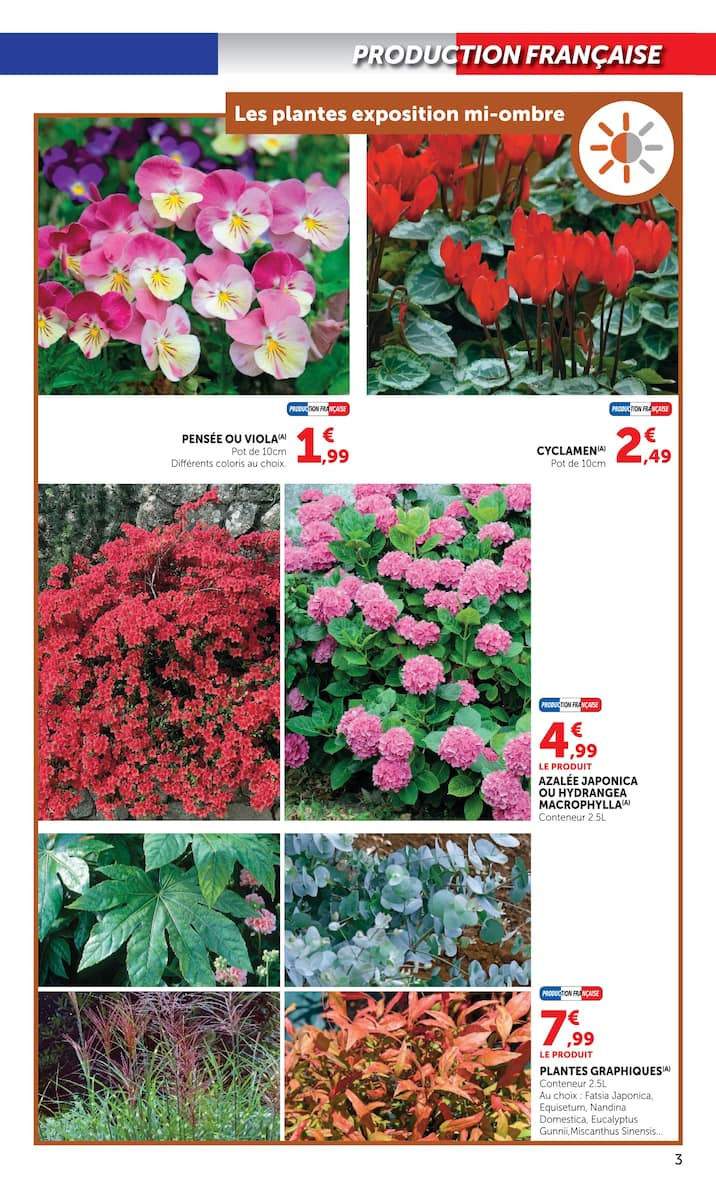  Catalog page 3 image 