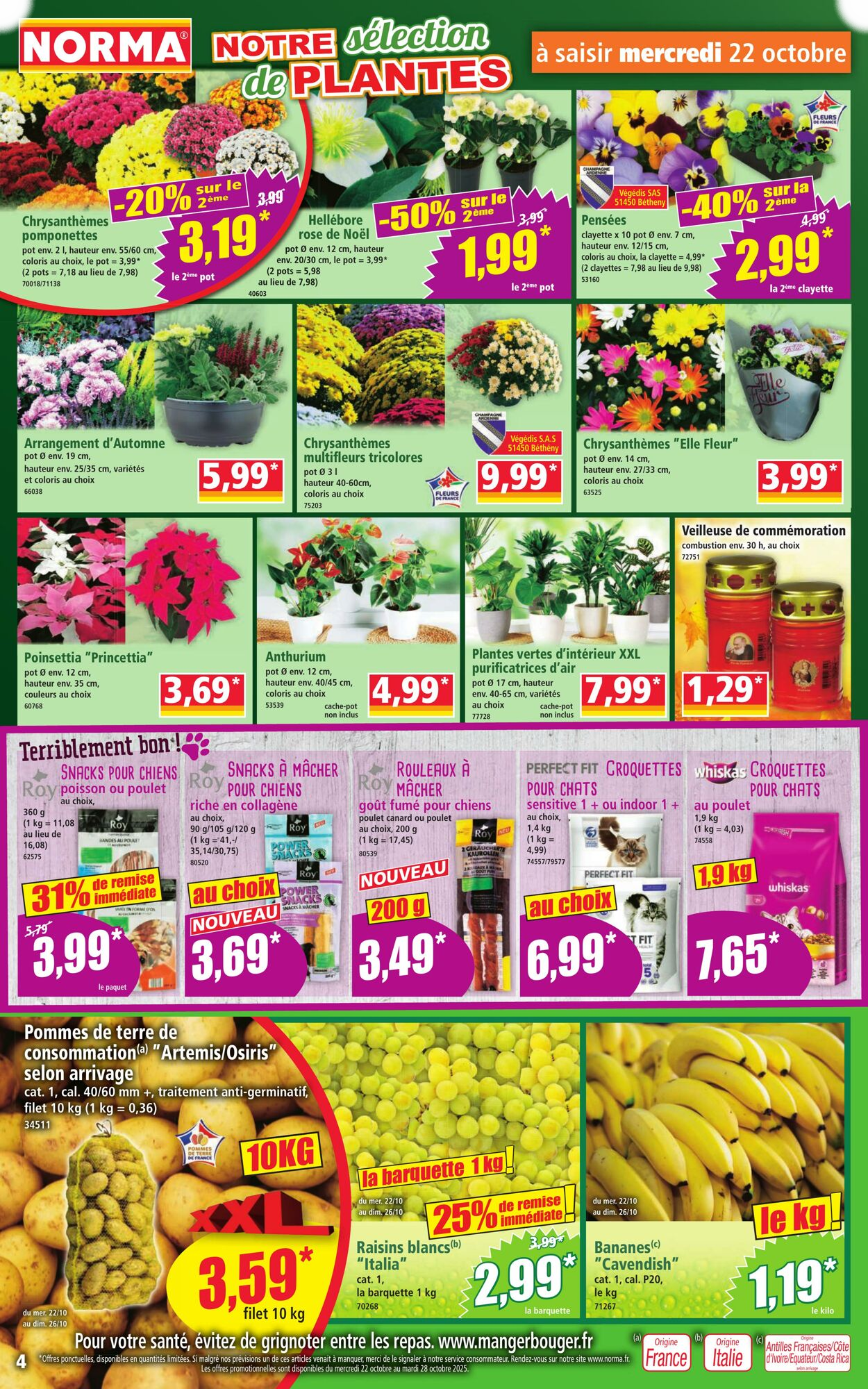  Catalog page 4 image 