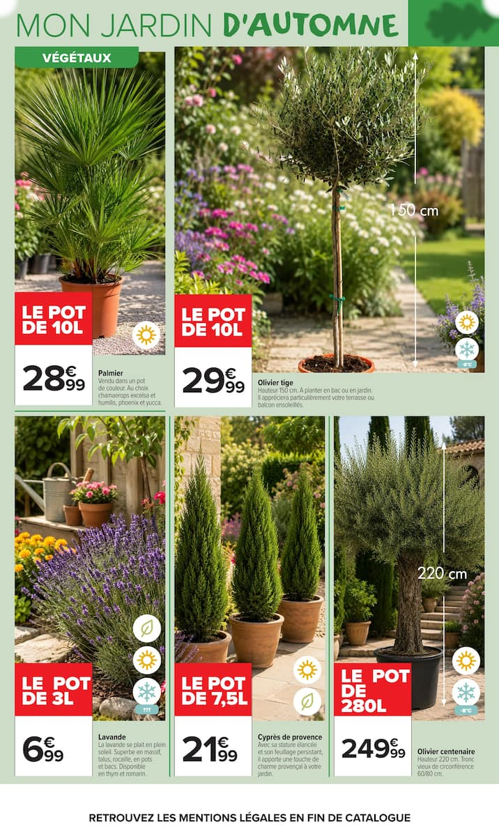 JARDIN LÀ OÙ LA VIE SE CULTIVE - Page 3