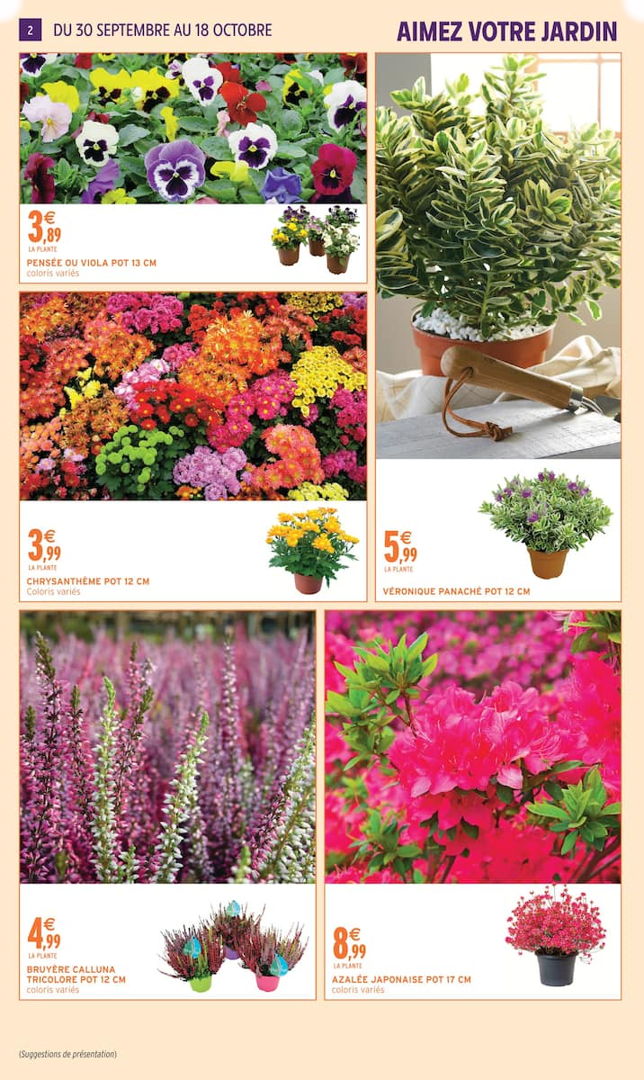 Intermarché - Page 2