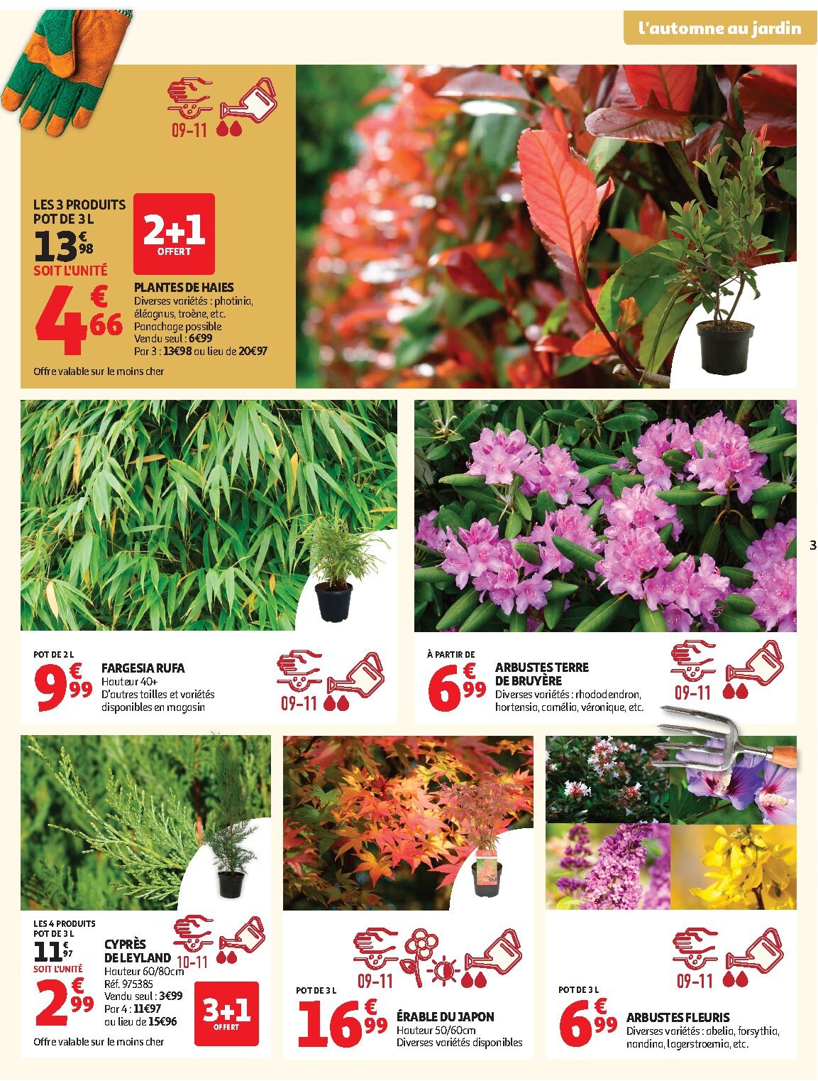 Jardinage automne - Page 3
