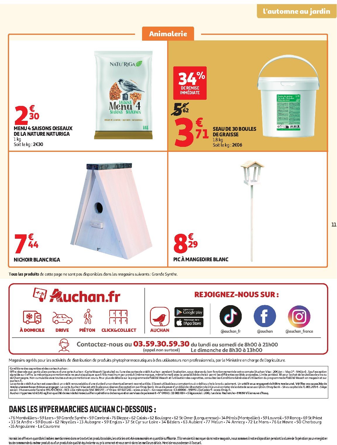 Jardinage automne - Page 11