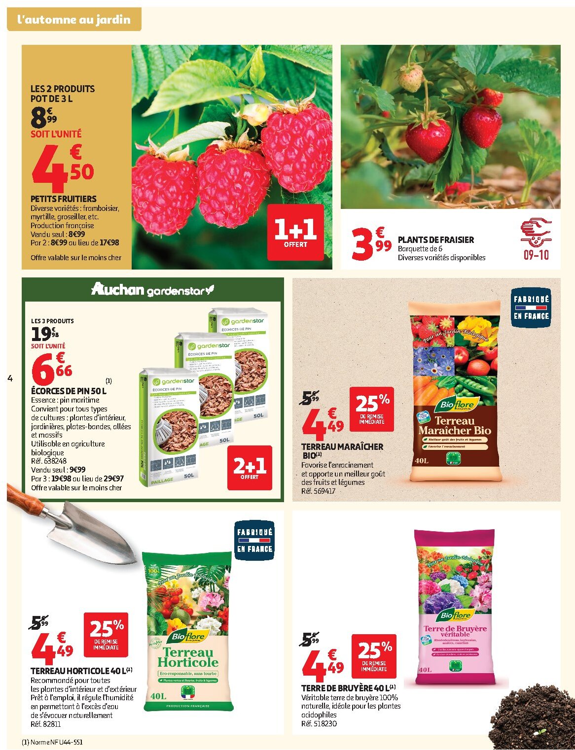 Jardinage automne - Page 4