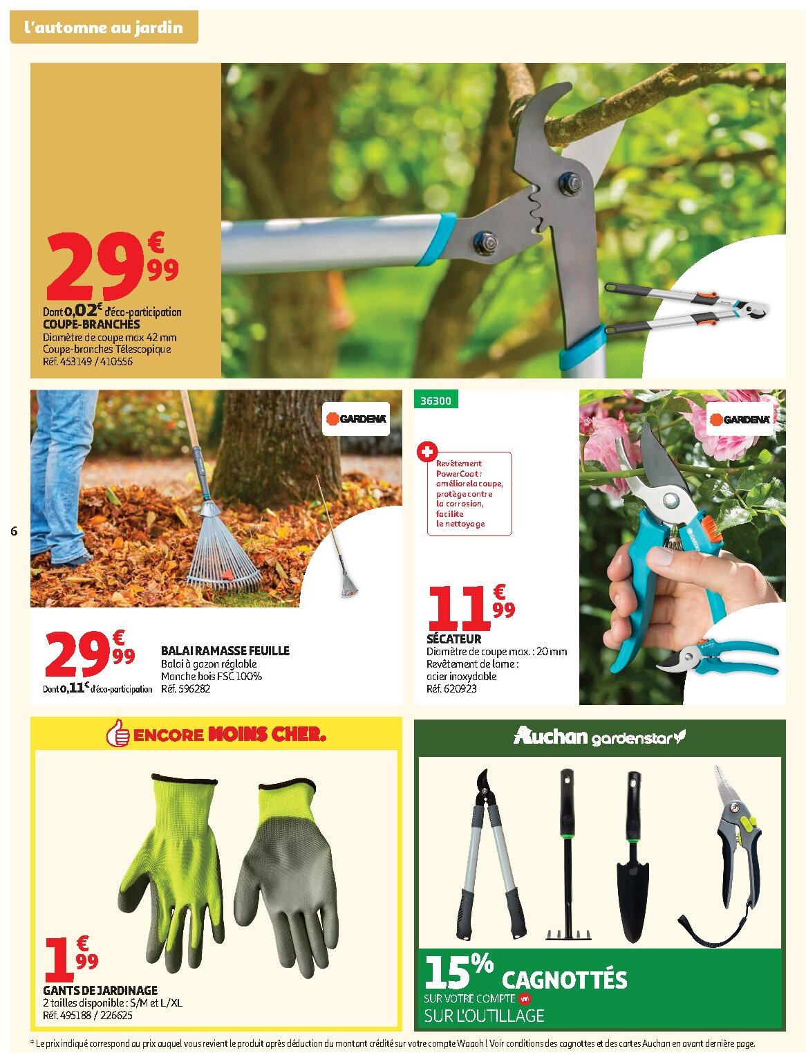 Jardinage automne - Page 6