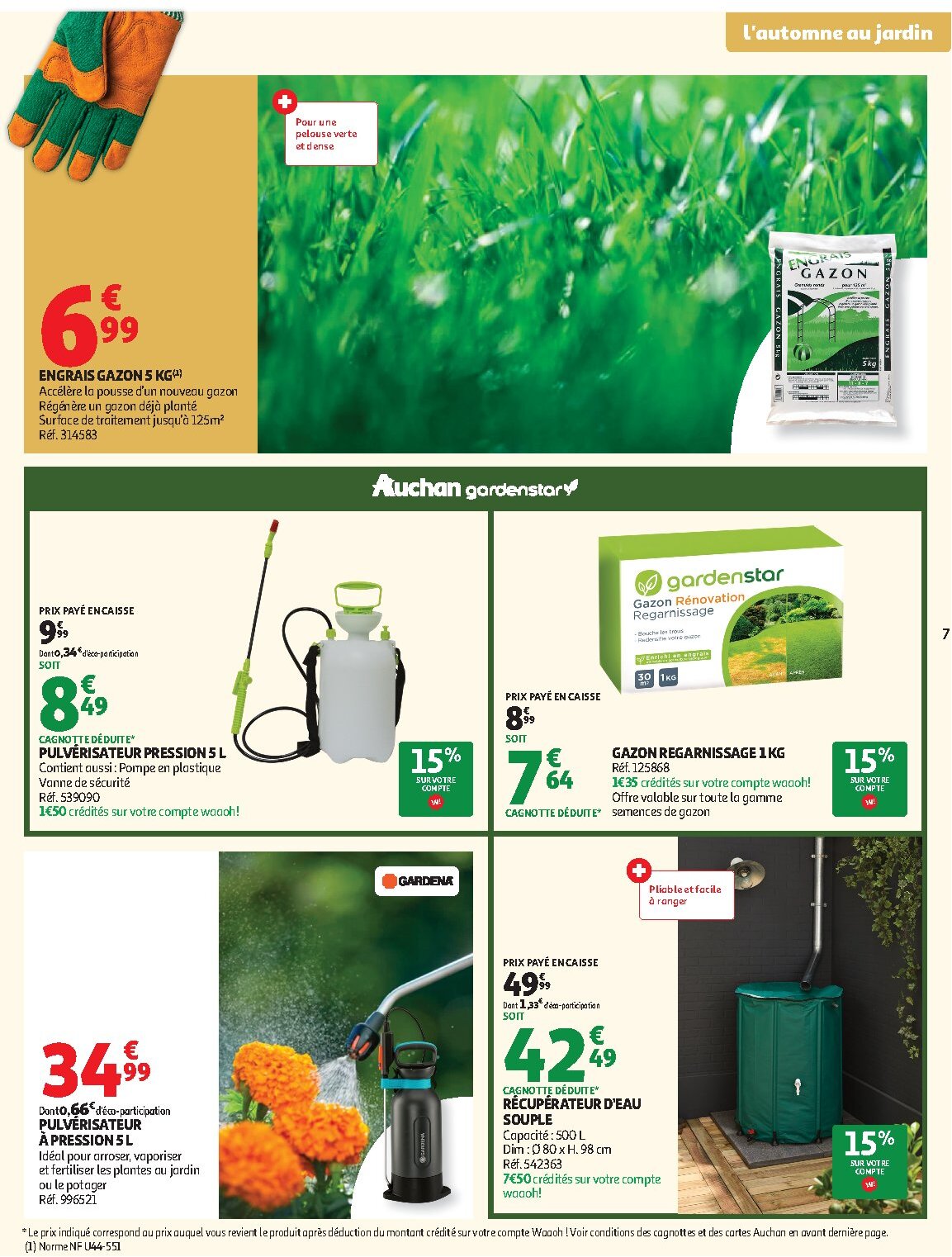 Jardinage automne - Page 7